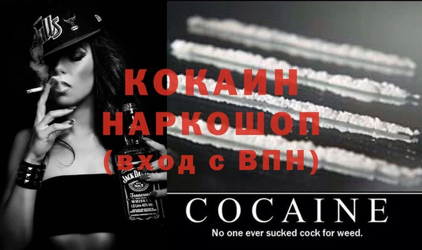 СК Инта