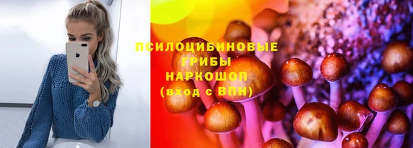 СК Инта