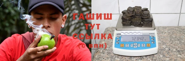 СК Инта