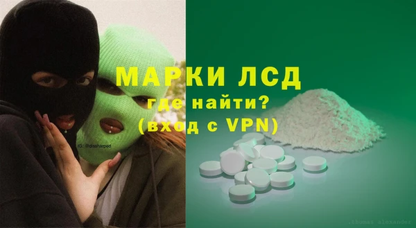 СК Инта