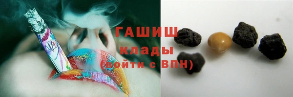 СК Инта